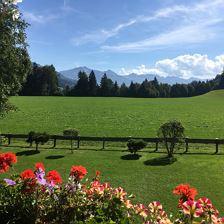 Aussicht im Sommer