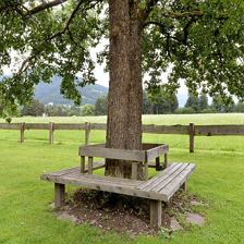 Gartenanlage