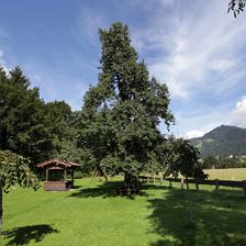 Rahmhof Sommer