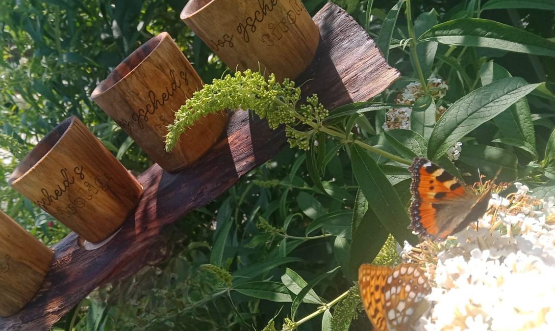 Tirolig (c) Sara Gessmann