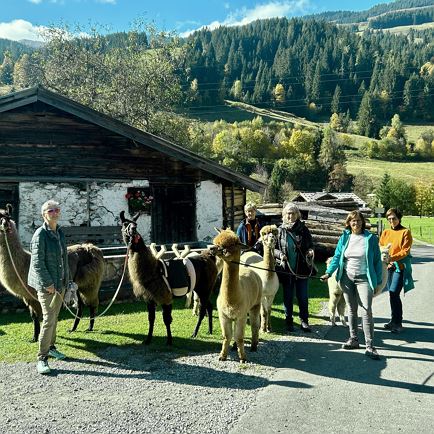 Alpaca Ervaring Jochberg