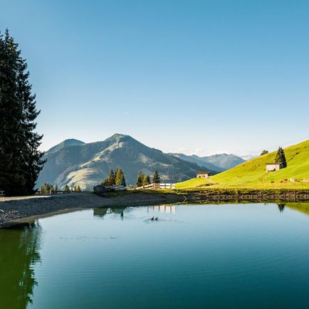 Filzalmsee Hochbrixen