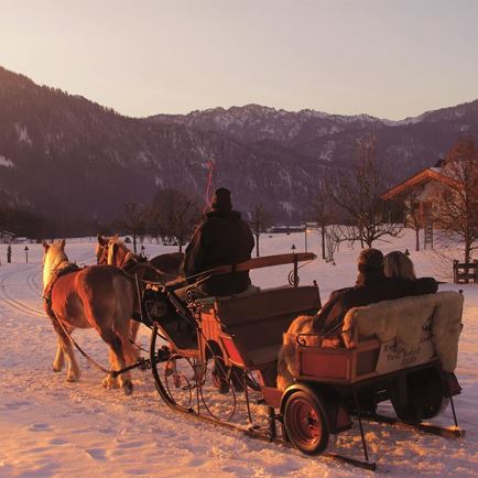 Gut Hanneshof Reitanlage