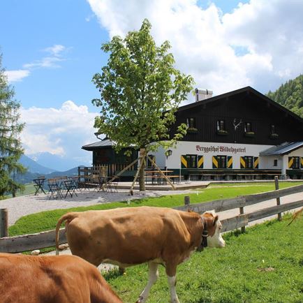 Wildalpgatterl
