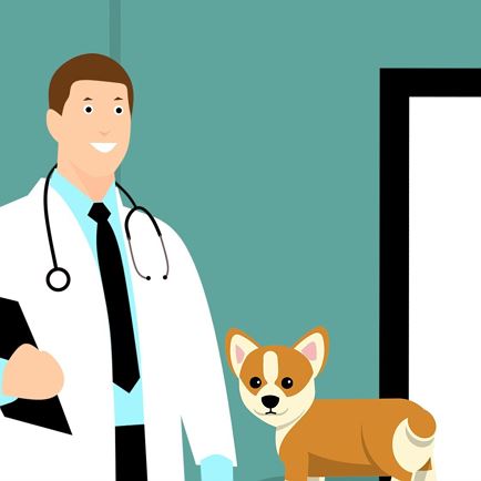 Veterinary Salvet