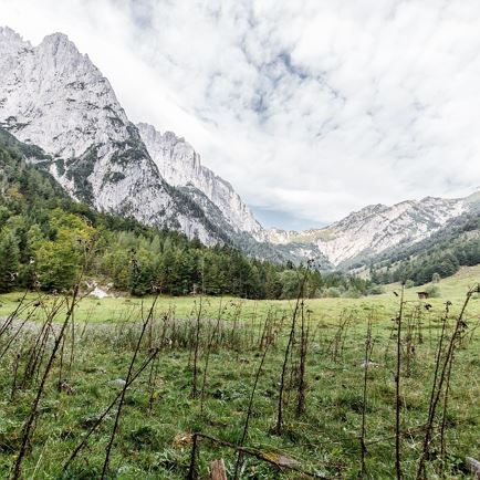 Natuurgebied Kaiserbachtal