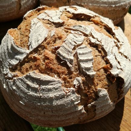 Bäckerei Auinger