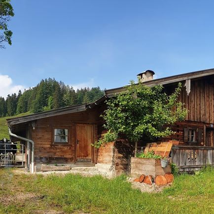 Foisching ALM Sennerei