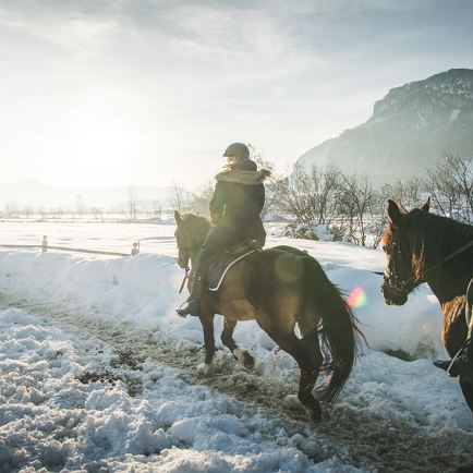 Reitbetrieb Landgut Furtherwirt