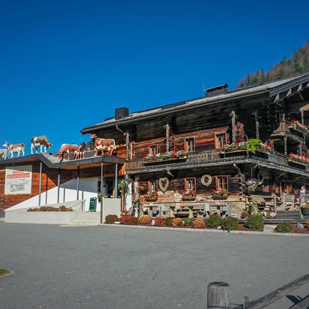 Wilder Käser snack bar