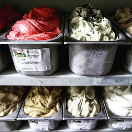 BauernEis Trattberg Hof - ice cream from the farm