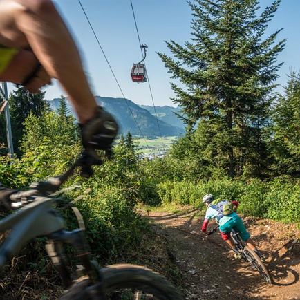 Harschbichl Trails