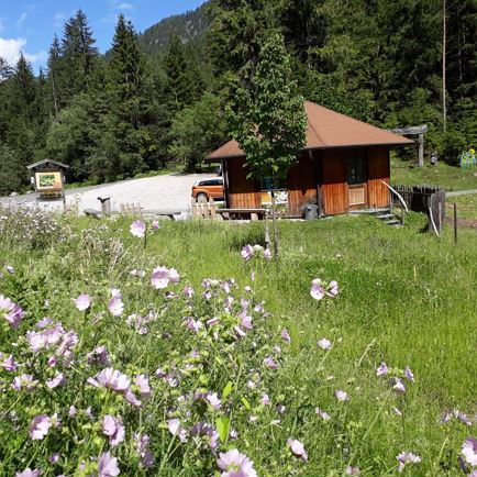 Bee trail at the Pillersee
