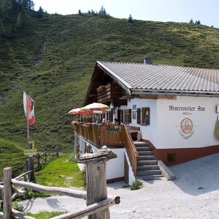 Winterstelleralm