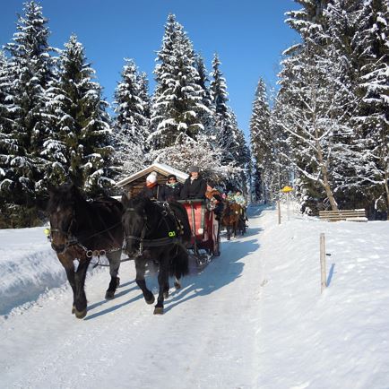 Horse-drawn carriage Berger Josef