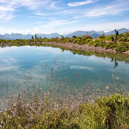Mountain and hiking guide Manfred Achrainer