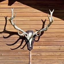 Chalet am Wilden Kaiser, Tirol