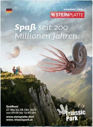 Bergbahnen Steinplatte Waidring summer