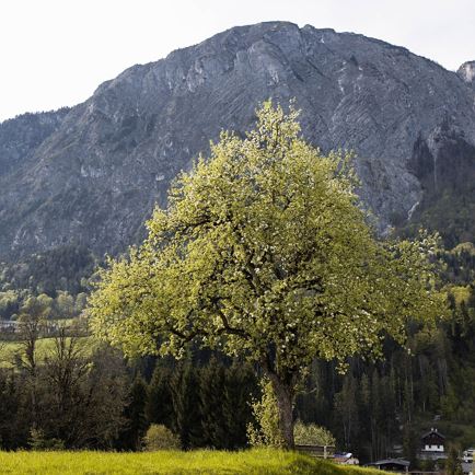 Angerberg & Mariastein R5 (c) Magdalena Laiminger 16.jpg
