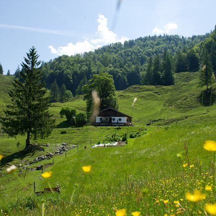 0047-13 ©FranzGERDL _REG-St.Johann 6653.jpg