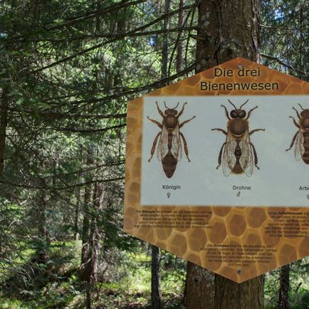 Bienenlehrpfad