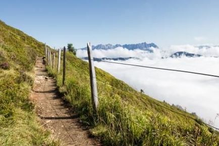 Alpinolino-Himmelsteig in Westendorf_Kitzbüheler Alpen_Matthäus Gartner0114klein.jpg