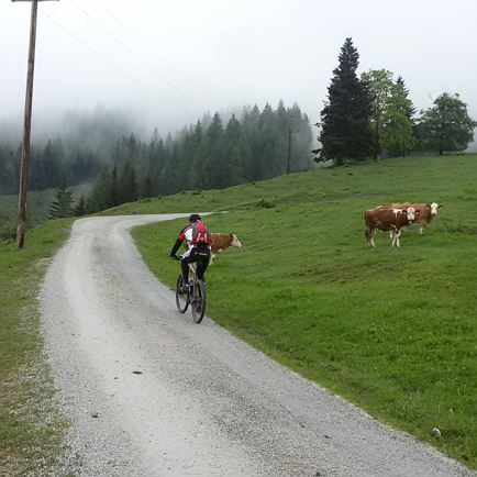 MTB Strecke zur Buchensteinwand 