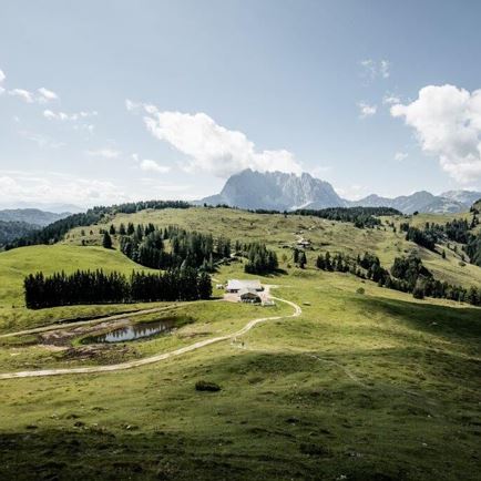 Erpfendorf - Prostalm - Prostkogel
