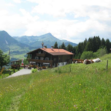 Buchensteinwand 1