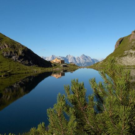 Wildseeloder summer  (c) Toni Niederwieser (4).jpg