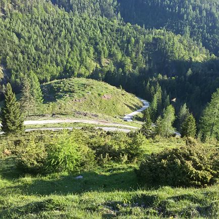 Weg zur Schießlingalm