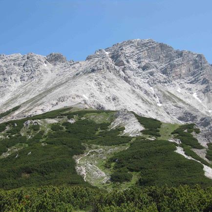 Grießner Hochbrett