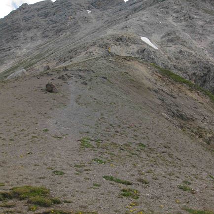 Grießner Hochbrett
