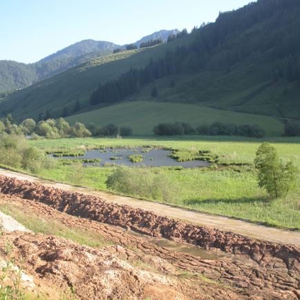 Grießner Hochmoor