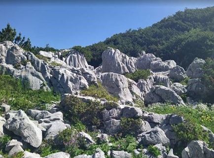 grünwaldalm wiesloch steinplattengipfel 4 c) Petra Astner.jpg
