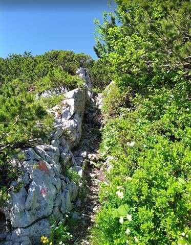 grünwaldalm wiesloch steinplattengipfel 5 c) Petra Astner.jpg