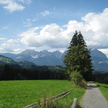 Grutten Runde Bike Trail Nr. 283