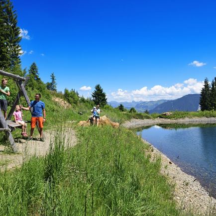 Hängebank Speicherteich Hohe Salve