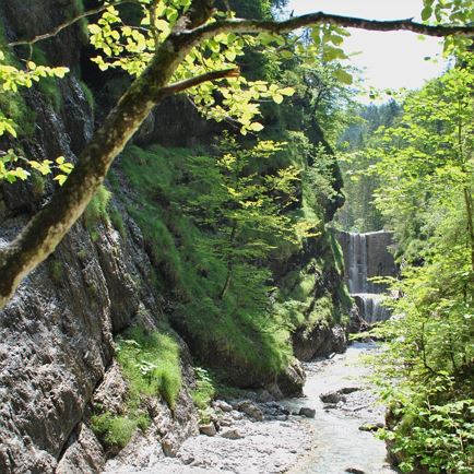 Bike & Hike Alpine Loop - Griesbachklamm Gorge