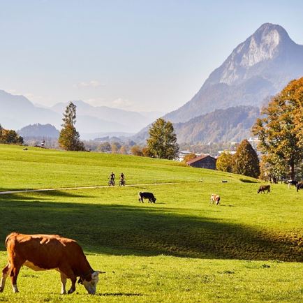 2018_10_12_WOM_Kaiserradrunde_Kufstein_Kaiserwinkl_0048_(c) WOM Medien GmbH_Stefan Schopf_komp.jpg