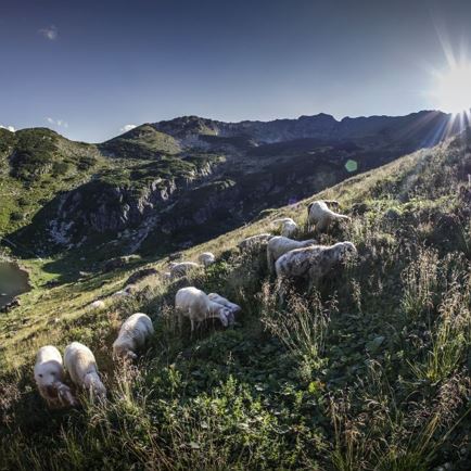 KAT100 2022 (c) Andi Frank (3).jpg