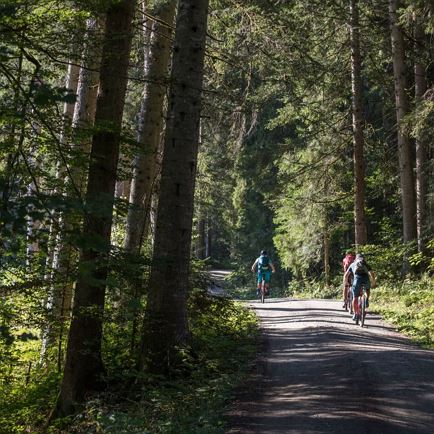 KATbike_Etappe2@ErwinHaiden-0777.jpg
