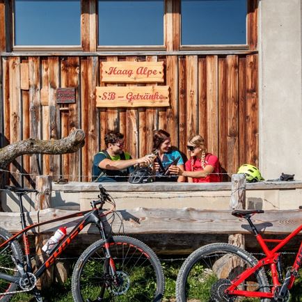 Haag Alm Runde (MTB Route 229)