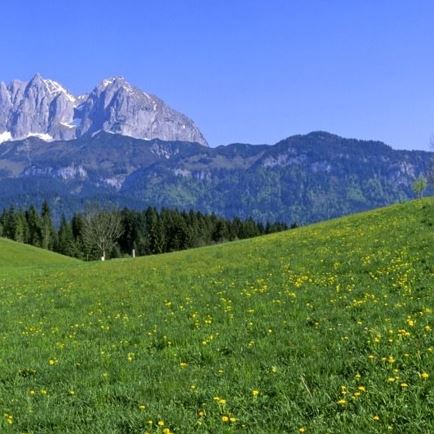 Oberndorf©AlbinN-121.jpg