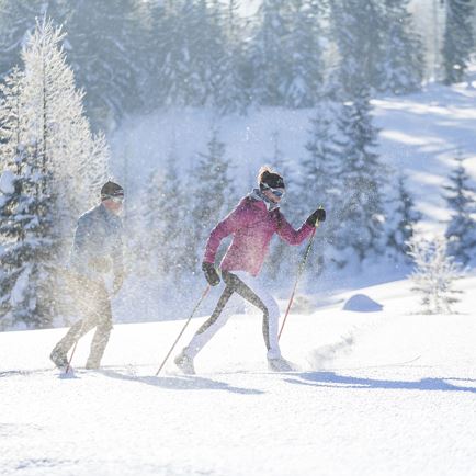 L10.1 Dandler cc-skiing track 