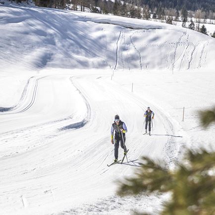 L16 Strub Loipe cc-skiing track Waidring