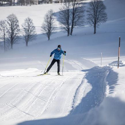 L4 FIS-Rennstrecke Geiselbühel  cc-skiing track St. Ulrich am Pillersee