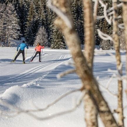 L6.1 Weißachloipe cc-skiing track Fieberbrunn 