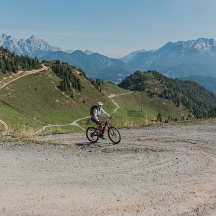 Grießenbodenalm - Wildalm c) ofp kommunikation.jpg