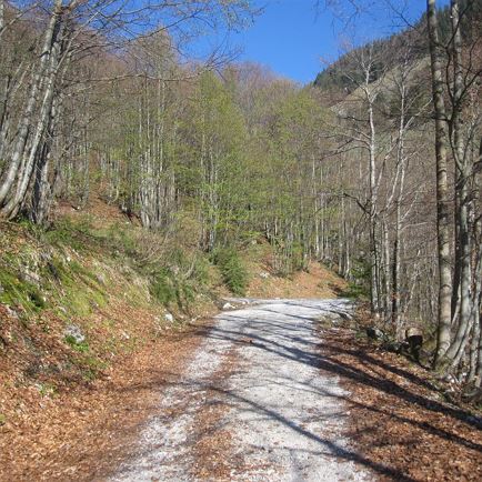 Winterstelleralm